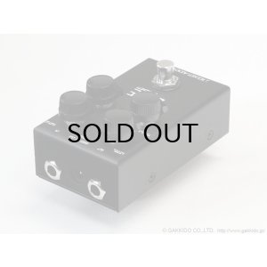 画像2: J.RAD　Dude