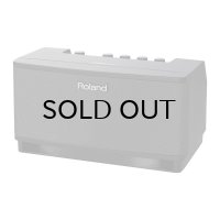 Roland　CUBE Lite ギターアンプ