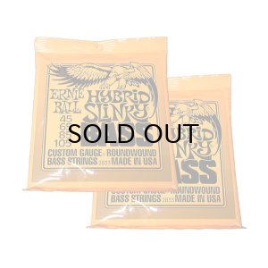 画像1: Ernie Ball　2833 (.045-.105) ベース弦×2セット [特価品] 【ゆうパケット送料込】