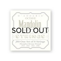 D'Addario　Octave Mandolin Phosphor Bronze [オクターブ・マンドリン用]