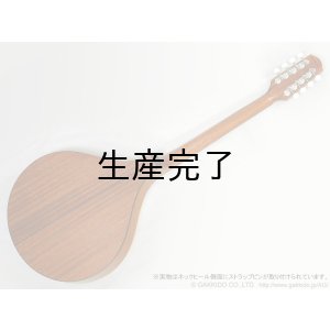 画像8: K.Yairi BOY アイリッシュ・ブズーキ