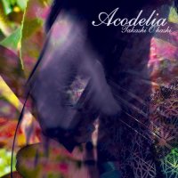 ACODELIA｜TAKASHI O'HASHI