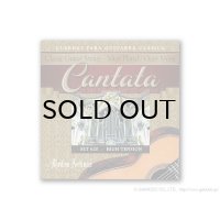 Medina Artigas Strings　CANTATA SERIES [ナイロン弦]