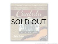 Medina Artigas Strings　CANTATA SERIES [ナイロン弦]