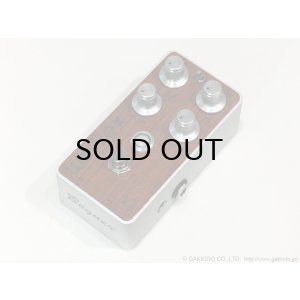 画像1: Bogner　WESSEX