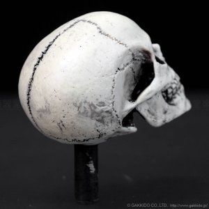 画像4: Dread Meister Skull Cymbal Nut スカル・シンバルナット