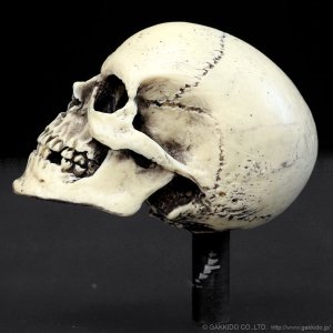 画像3: Dread Meister Skull Cymbal Nut スカル・シンバルナット