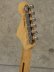 画像8: Fender　Eric Clapton Stratocaster [Olympic White] (8)
