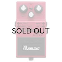 BOSS　DM-2W Delay