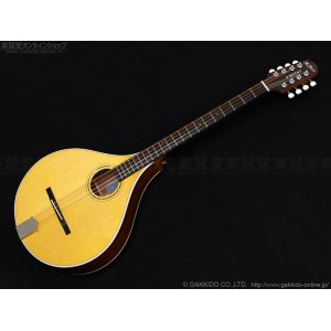 画像2: VINCENT　VZ-30 Irish Bouzouki アイリッシュ・ブズーキ [ボールエンド対応テイルピース仕様]