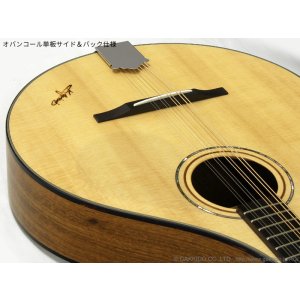 画像15: K.Yairi　BOY2-DX アイリッシュ・ブズーキ (受注生産モデル)
