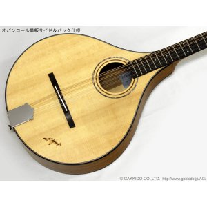 画像13: K.Yairi　BOY2-DX アイリッシュ・ブズーキ (受注生産モデル)