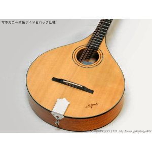 画像4: K.Yairi　BOY2-DX アイリッシュ・ブズーキ (受注生産モデル)