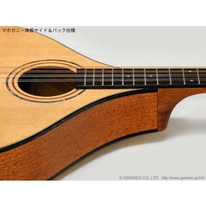 画像6: K.Yairi　BOY2-DX アイリッシュ・ブズーキ (受注生産モデル)