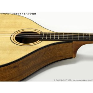 画像16: K.Yairi　BOY2-DX アイリッシュ・ブズーキ (受注生産モデル)