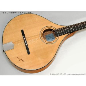 画像3: K.Yairi　BOY2-DX アイリッシュ・ブズーキ (受注生産モデル)