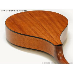 画像8: K.Yairi　BOY2-DX アイリッシュ・ブズーキ (受注生産モデル)