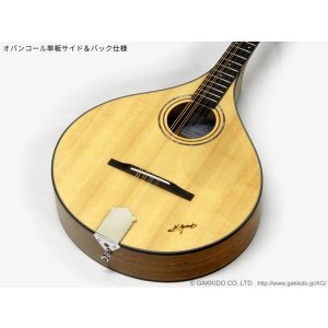 画像14: K.Yairi　BOY2-DX アイリッシュ・ブズーキ (受注生産モデル)