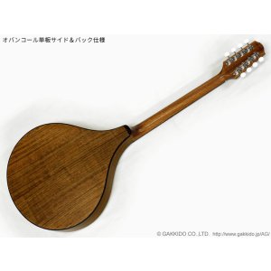 画像19: K.Yairi　BOY2-DX アイリッシュ・ブズーキ (受注生産モデル)