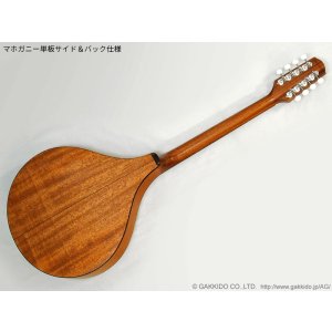 画像9: K.Yairi　BOY2-DX アイリッシュ・ブズーキ (受注生産モデル)