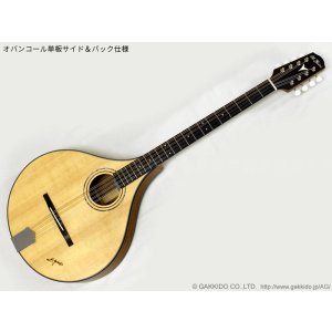 画像12: K.Yairi　BOY2-DX アイリッシュ・ブズーキ (受注生産モデル)