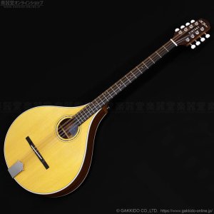 画像2: VINCENT　VZ-30 Irish Bouzouki アイリッシュ・ブズーキ