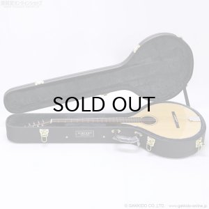 画像17: VINCENT　VZ-30 NL Irish Bouzouki アイリッシュ・ブズーキ [L.R.Baggs Element VTC ピックアップ搭載モデル]