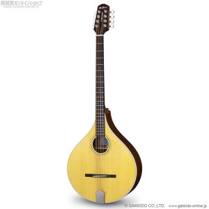 画像1: VINCENT　VZ-30 Irish Bouzouki アイリッシュ・ブズーキ