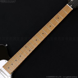 画像7: Ibanez　FLATV1 BK Josh Smith Signature [Black] [半期決算セール特価]