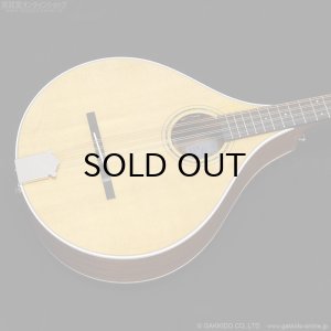 画像3: VINCENT　VZ-30 NL Irish Bouzouki アイリッシュ・ブズーキ [L.R.Baggs Element VTC ピックアップ搭載モデル]