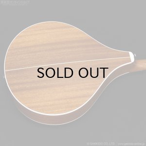 画像12: VINCENT　VZ-30 NL Irish Bouzouki アイリッシュ・ブズーキ [L.R.Baggs Element VTC ピックアップ搭載モデル]