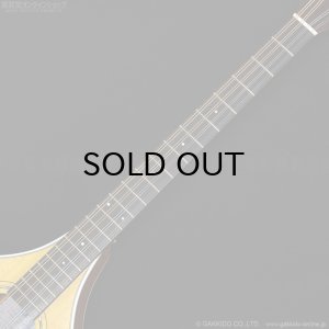 画像8: VINCENT　VZ-30 NL Irish Bouzouki アイリッシュ・ブズーキ [L.R.Baggs Element VTC ピックアップ搭載モデル]