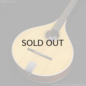 画像4: VINCENT　VZ-30 NL Irish Bouzouki アイリッシュ・ブズーキ [L.R.Baggs Element VTC ピックアップ搭載モデル]