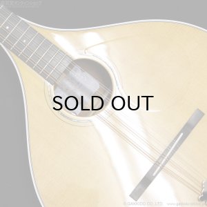 画像6: VINCENT　VZ-30 NL Irish Bouzouki アイリッシュ・ブズーキ [L.R.Baggs Element VTC ピックアップ搭載モデル]