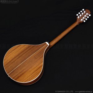 画像14: VINCENT　VZ-30 NL Irish Bouzouki アイリッシュ・ブズーキ [L.R.Baggs Element VTC ピックアップ搭載モデル]