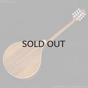 画像14: VINCENT　VZ-30 NL Irish Bouzouki アイリッシュ・ブズーキ [L.R.Baggs Element VTC ピックアップ搭載モデル]