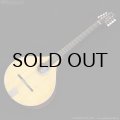 VINCENT　VZ-30 NL Irish Bouzouki アイリッシュ・ブズーキ [L.R.Baggs Element VTC ピックアップ搭載モデル]