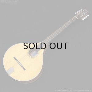 画像1: VINCENT　VZ-30 NL Irish Bouzouki アイリッシュ・ブズーキ [L.R.Baggs Element VTC ピックアップ搭載モデル]