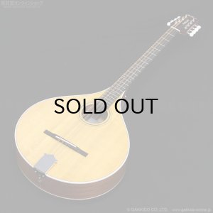 画像2: VINCENT　VZ-30 NL Irish Bouzouki アイリッシュ・ブズーキ [L.R.Baggs Element VTC ピックアップ搭載モデル]
