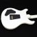 画像10: Paul Reed Smith　DGT Antique White