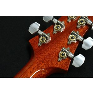 画像9: Paul Reed Smith (PRS) SANTANA RETRO 2023 ORANGE