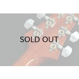 画像9: Paul Reed Smith (PRS)　SANTANA RETRO 2023 ORANGE