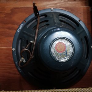 画像21: Fender　1954 5D3 Deluxe ギターアンプ コンボ [ヴィンテージ品] [半期決算セール特価]