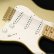 画像6: Fender Custom Shop　Limited Edition HLE Stratocaster DLX Closet Classic [HLE Gold] [決算セール特価]