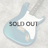 Paul Reed Smith (PRS)　SILVER SKY Rosewood [Dodgem Blue]