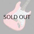 Paul Reed Smith (PRS)　SILVER SKY Rosewood [Roxy Pink]