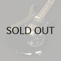Paul Reed Smith (PRS)　S2 Standard 24 [Black]
