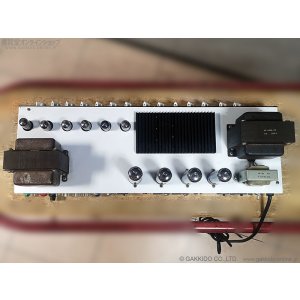 画像10: Bogner　Ecstasy 101B ギターアンプ ヘッド [中古品] [半期決算セール特価]