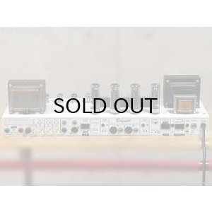 画像11: Bogner　Ecstasy 101B ギターアンプ ヘッド [中古品]