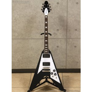 画像1: Edwards　E-FV-LTD BK [Black]